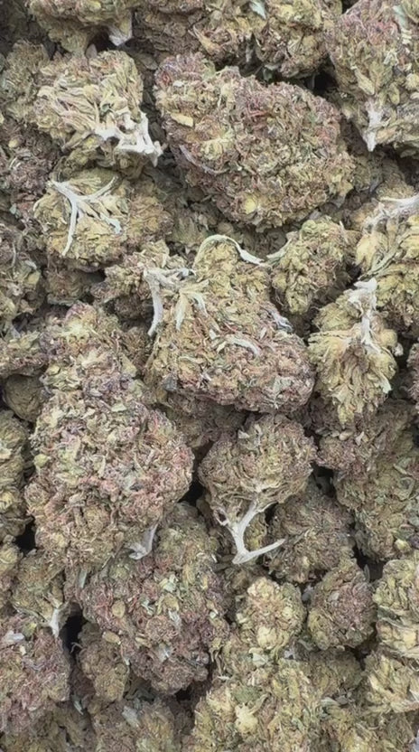 UK Cheese - Bulk - Hybrid