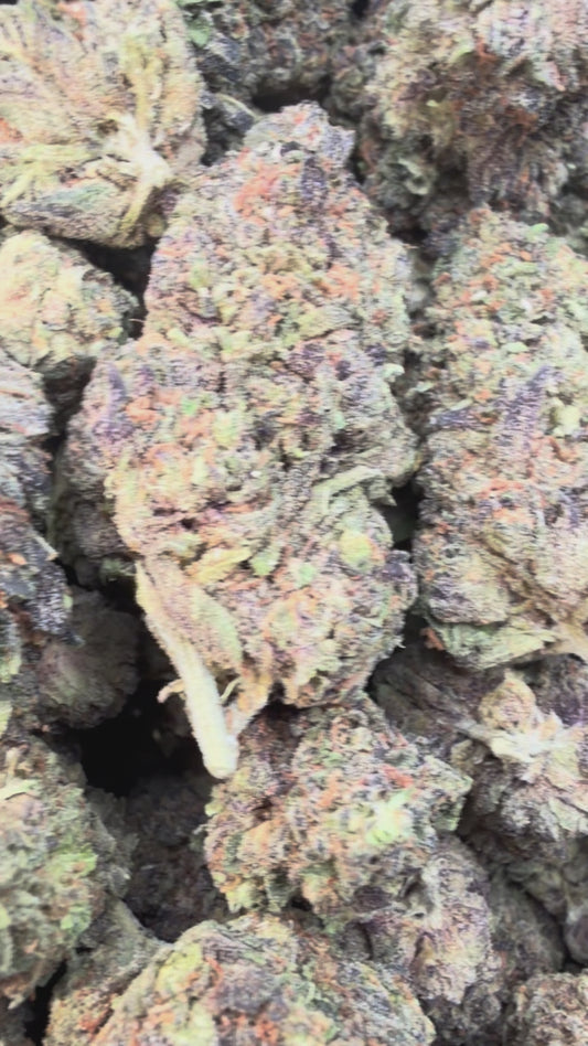 Gusher Runtz - Bulk - Hybrid