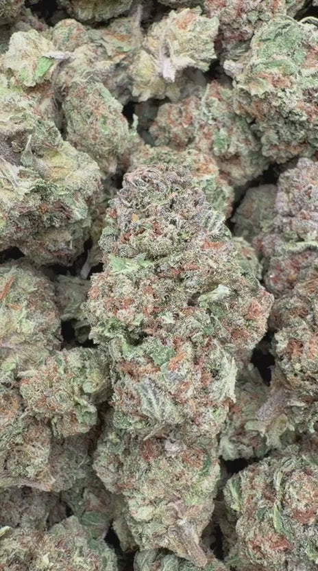 Lemon Fuel OG - Bulk - Hybrid