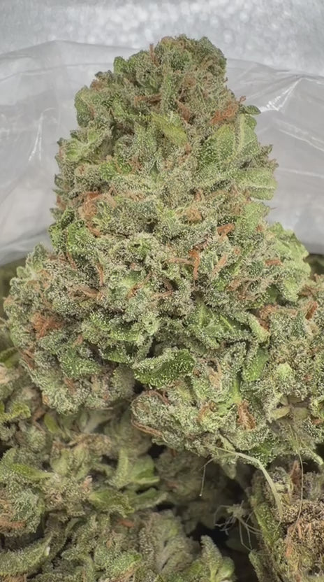 Blackberry Kush - Bulk - Indica