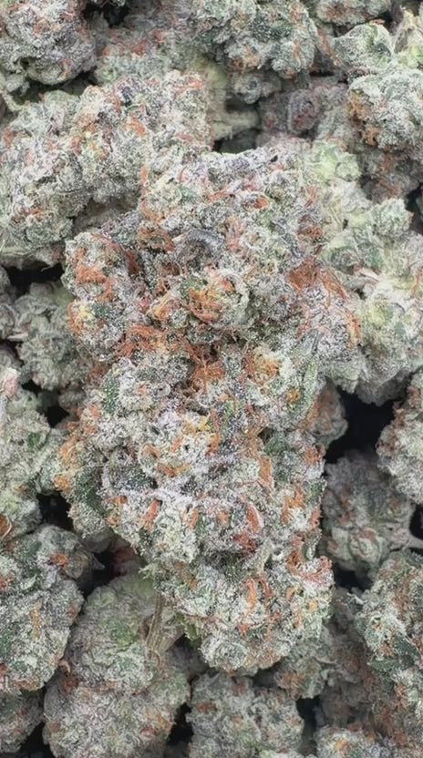 Fruity Pebbles OG Indoor - Bulk - Indica
