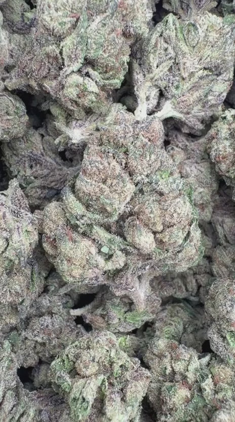 Runtz x Grease Monkey - Bulk - Indica