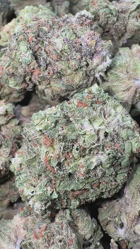 Burger Breath - Bulk - Indica