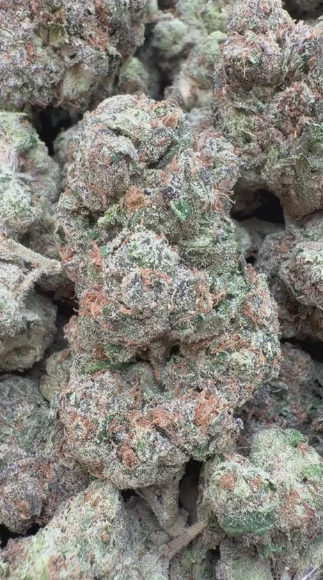 Cherry Warheads - Bulk - Hybrid