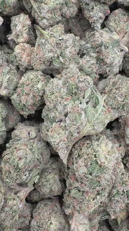 Toad Venom - Bulk - Hybrid