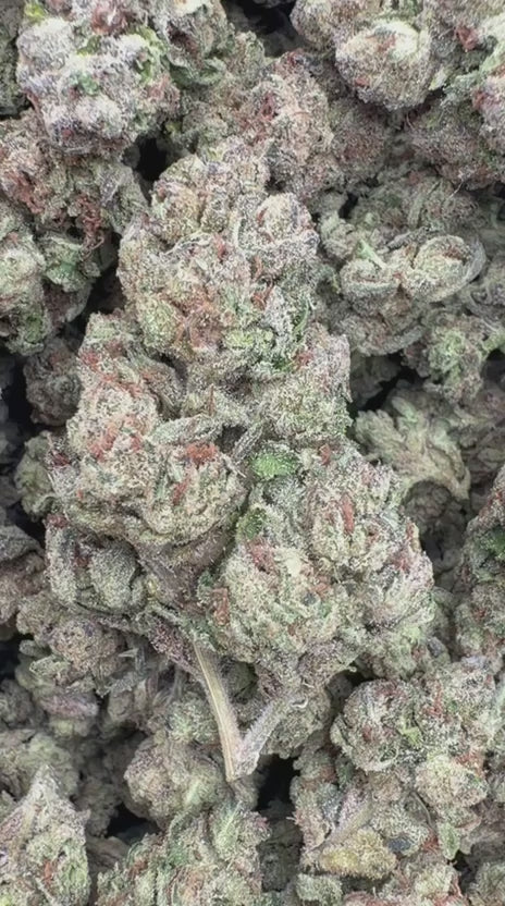 Warheads - Bulk - Sativa