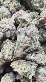 Butter Pina Mediums - Bulk Mediums - Indica