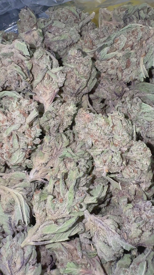 Gas Candy - Bulk - Hybrid