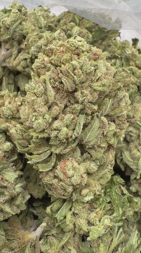 Heavy OG - Bulk - Indica