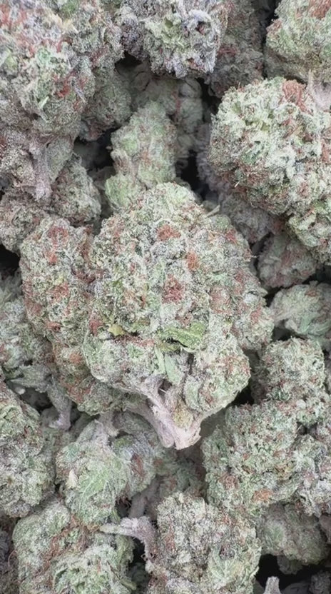 Grape Gas - Bulk - Hybrid