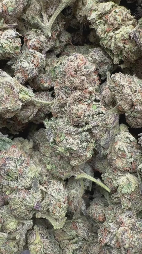 Jolly Ranchers Indoor - Bulk - Indica