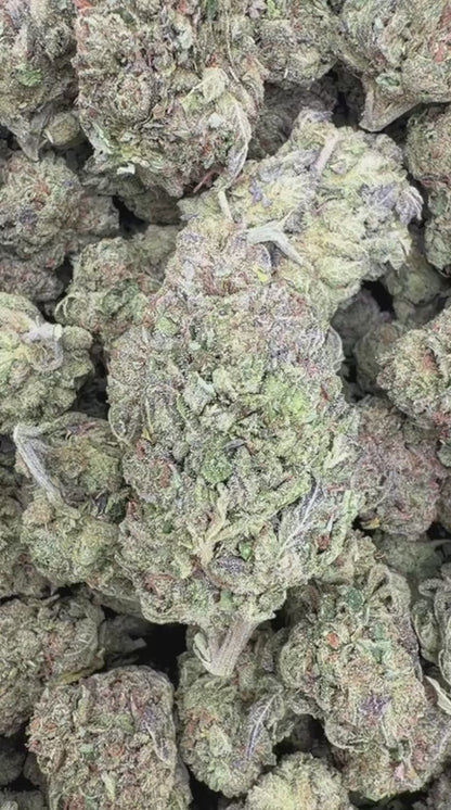 Sour Zkittles - Bulk - Hybrid