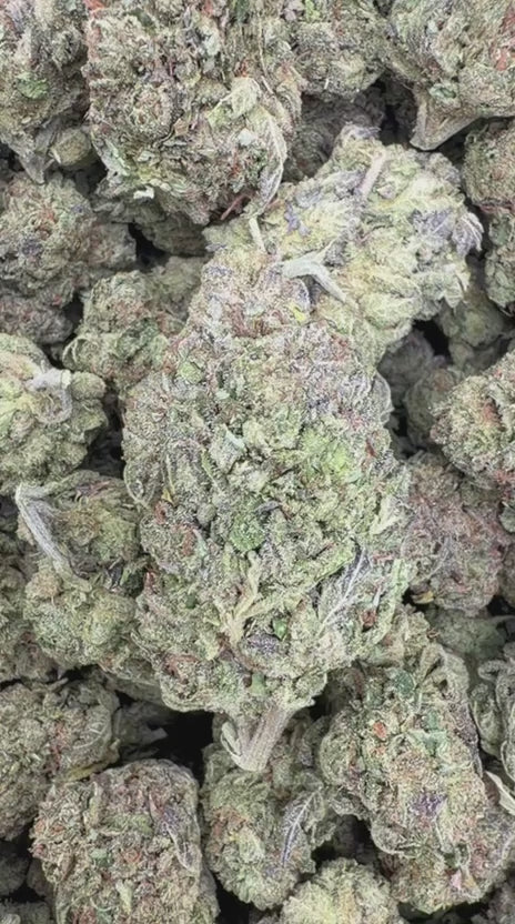 Sour Zkittles - Bulk - Hybrid