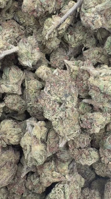 Blue Nerds - Bulk - Hybrid