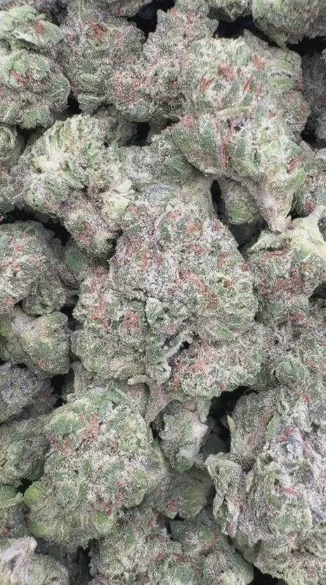 Sour OG - Bulk - Hybrid