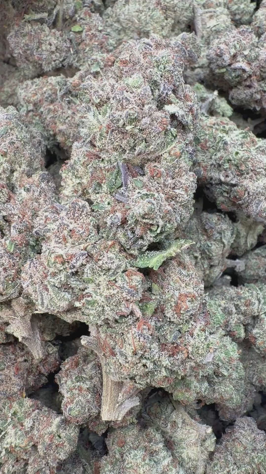 Grape Gas - Bulk - Hybrid