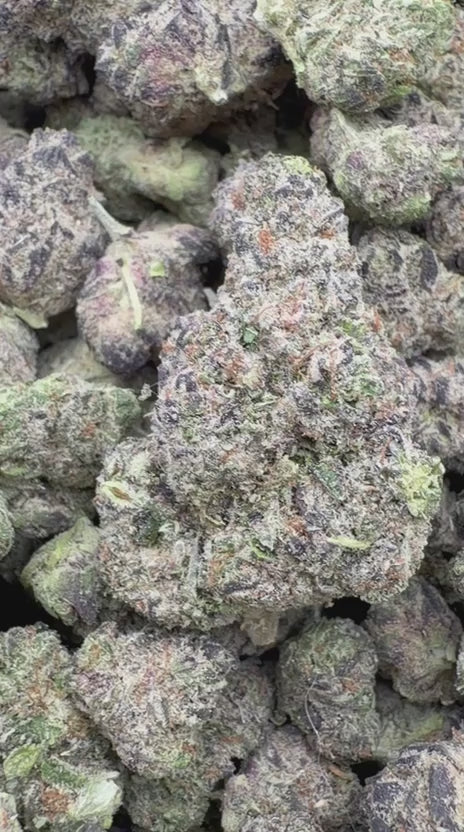 Purple Octane Indoor - Bulk - Indica