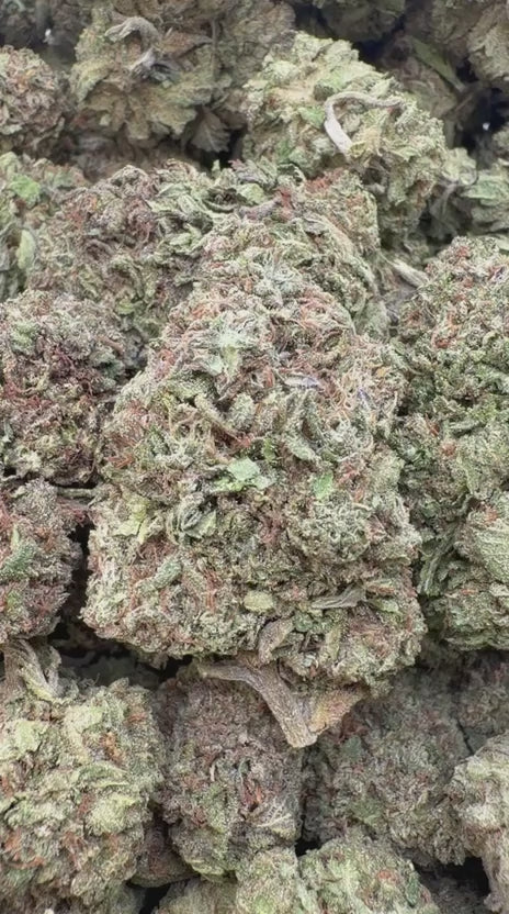 Grease Monkey - Bulk- Indica