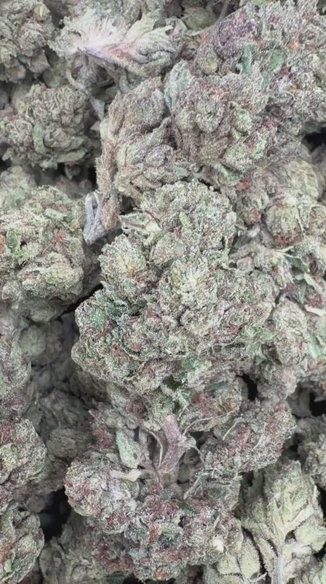Chem Dawg Indoor - Bulk - Hybrid