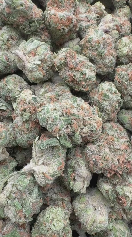 Peanut Butter Souffle Minis - Bulk Minis - Indica