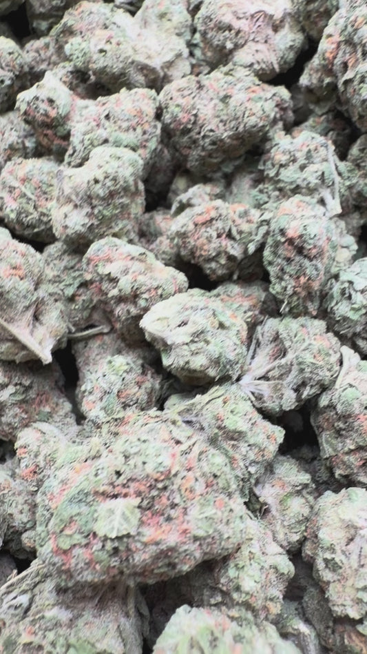 Blueberry Pancakes Mediums - Bulk Mediums - Indica