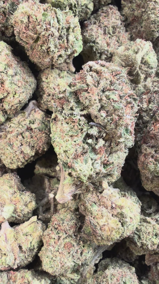 Pink Certz - Bulk - Indica