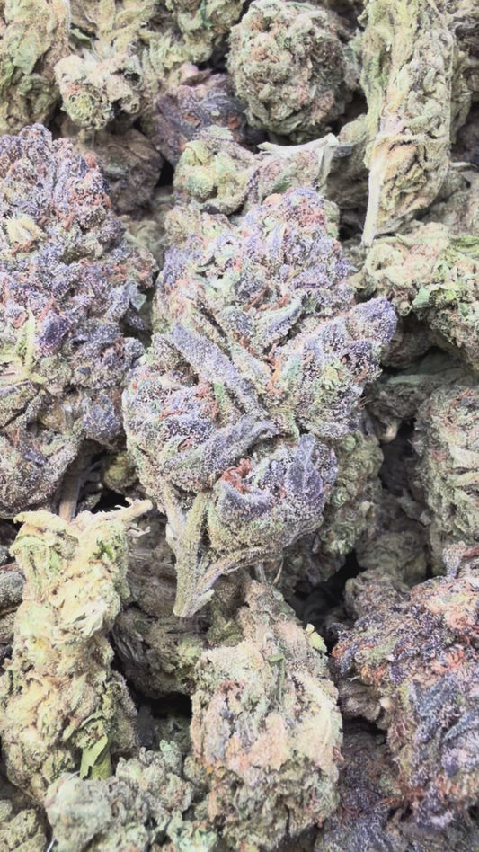 Double Runtz - Bulk - Hybrid