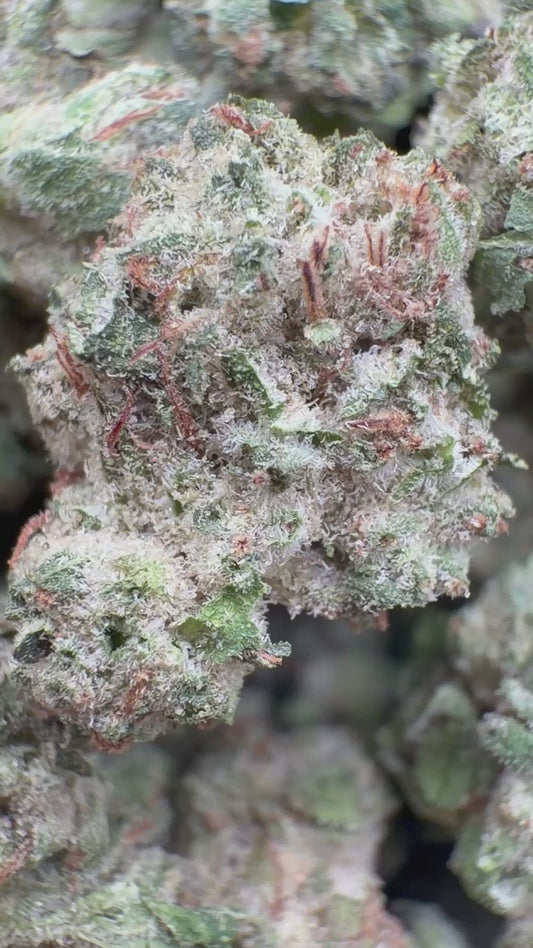 Tahoe OG Minis - Bulk Minis - Indica