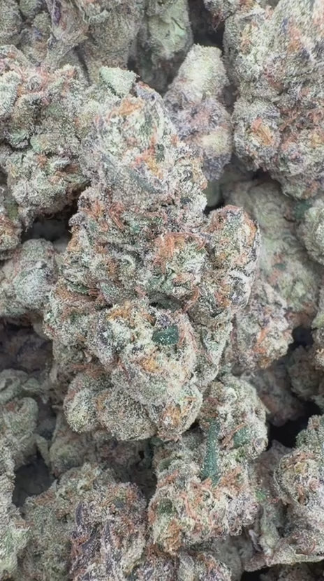 Gas Candy Indoor - Bulk - Hybrid