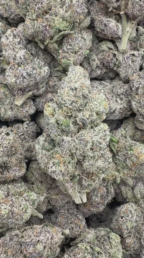 Blue Nerds Indoor - Bulk - Hybrid