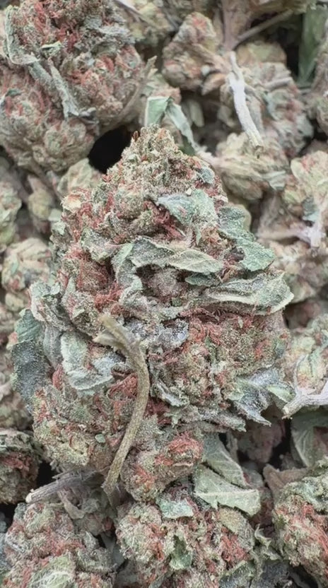 LA Confidential - Bulk - Indica
