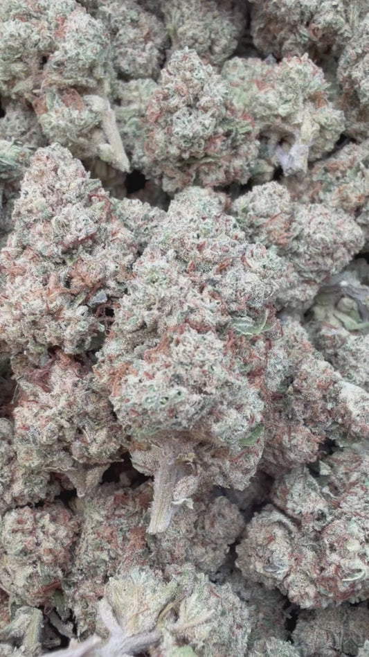 Blueberry Muffins - Bulk - Indica