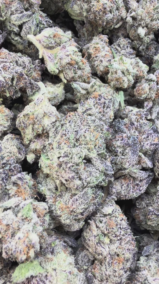 Purple Nerdz - Bulk - Indica