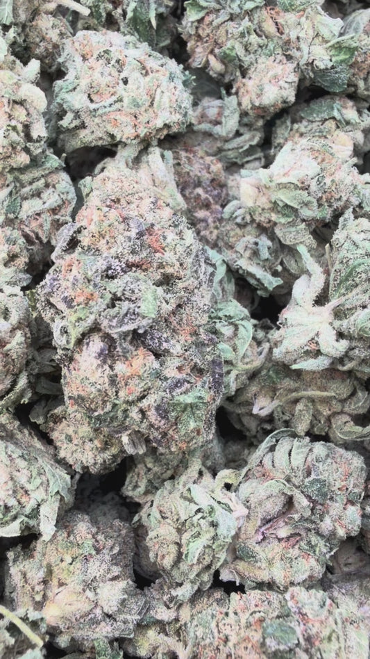 Sherbet & Haze - Bulk - Sativa