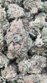 Sherbet & Haze - Bulk - Sativa