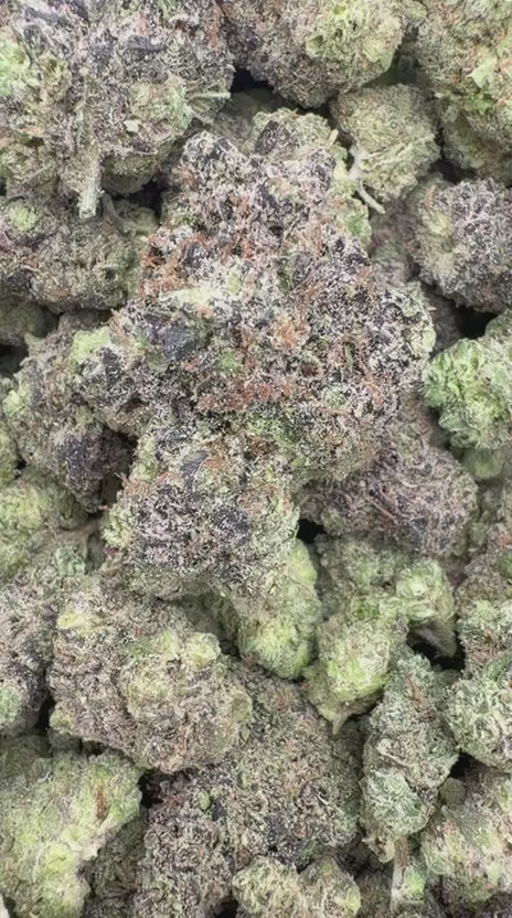 Hashburger Indoor Mediums - Bulk Mediums - Indica