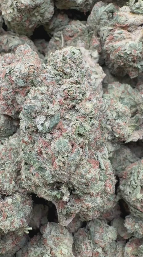 Black Cherry Caviar - Bulk - Indica