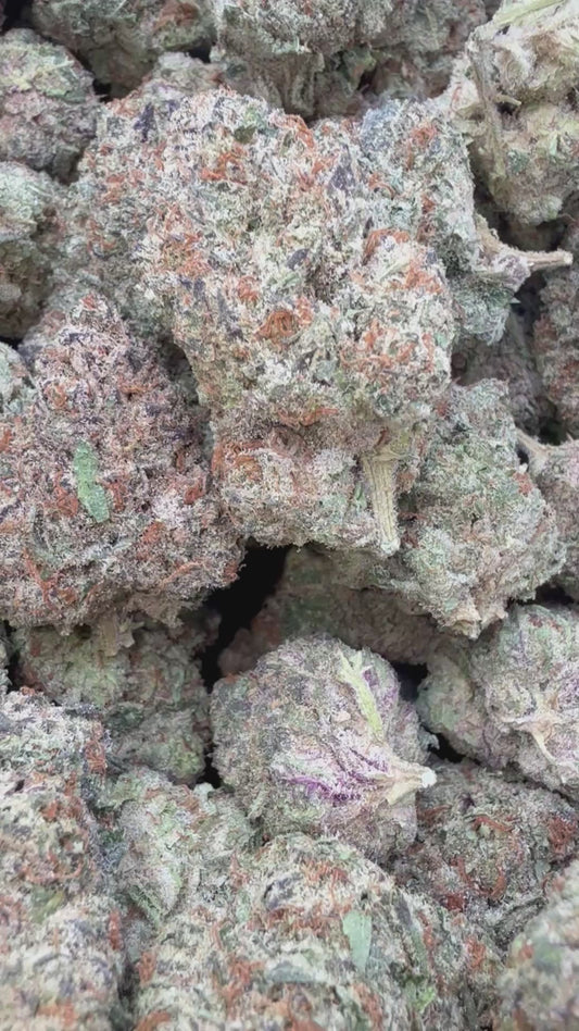 White Nerds - Bulk - Hybrid