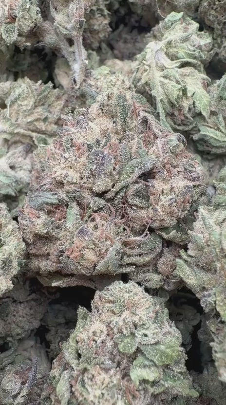 LCG x Runtz - Bulk - Hybrid