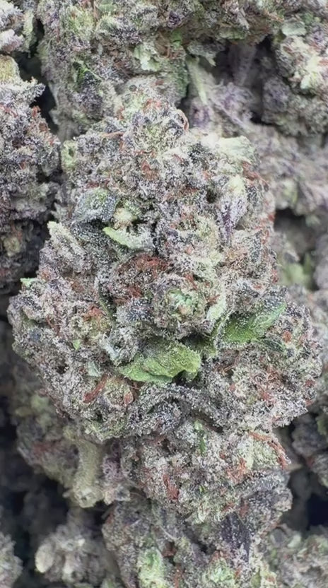 Donny Burger - Bulk - Indica