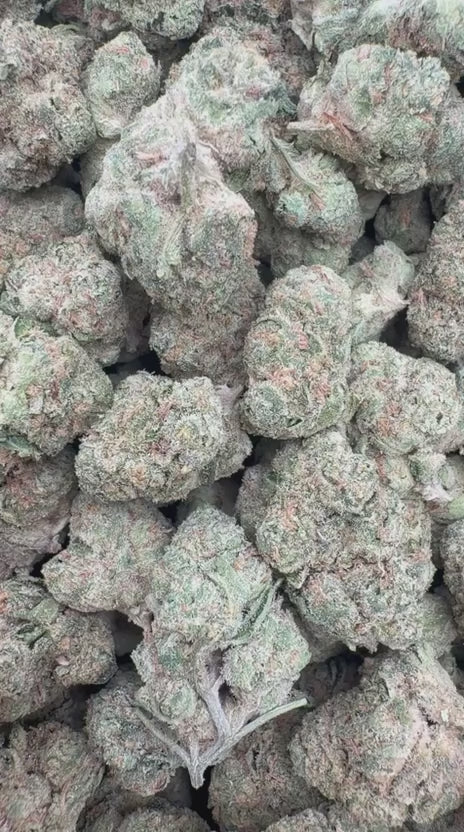 Wedding Cake Mediums - Bulk Mediums - Indica