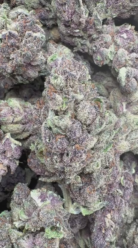 Trop Cherry - Bulk - Sativa