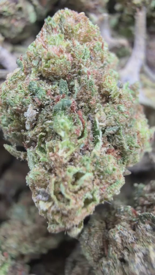 Star Fighter Minis - Bulk Minis - Indica