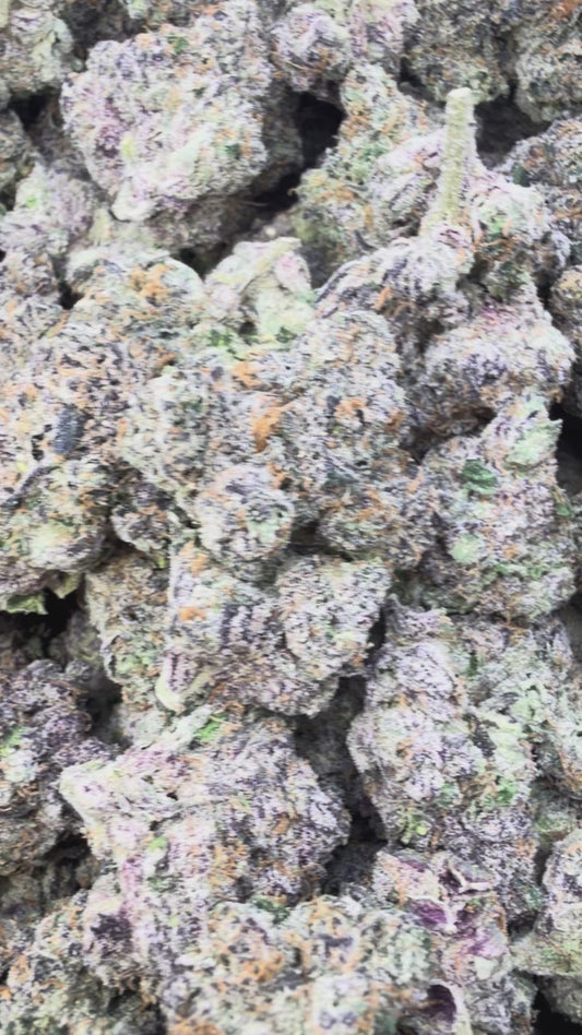 Darth Vader - Bulk - Indica