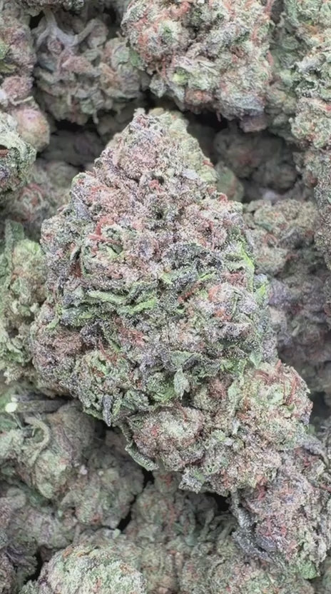 Ice Runtz - Bulk - Indica