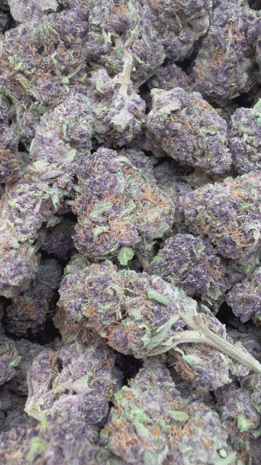 Trop Cherry Mediums - Bulk Mediums - Sativa