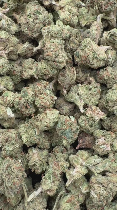 Face Off OG Minis - Bulk Minis - Indica