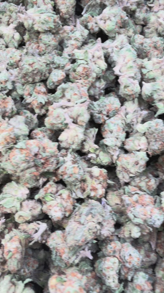 Fruity Pebbles OG Minis - Bulk Minis - Indica