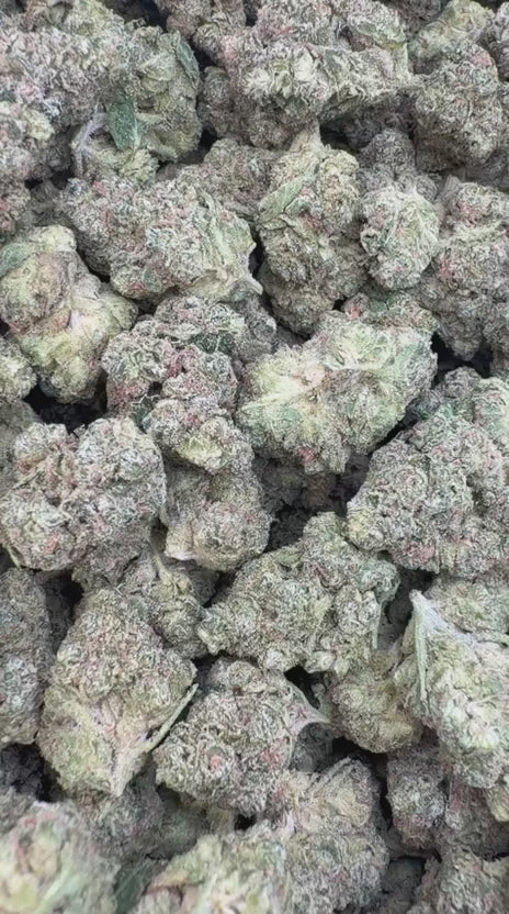 Fire OG Mediums - Bulk Mediums - Indica