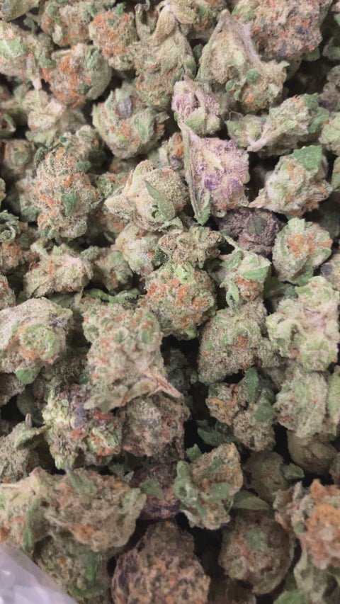 OG 33 - Bulk - Minis (Indica)